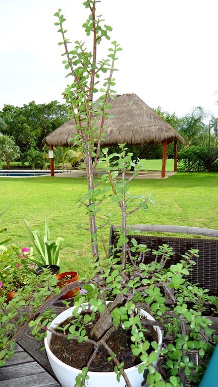 B&B Mom'S House Puerto Aventuras Luaran gambar